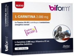 L-CARNITINA 2000 mg